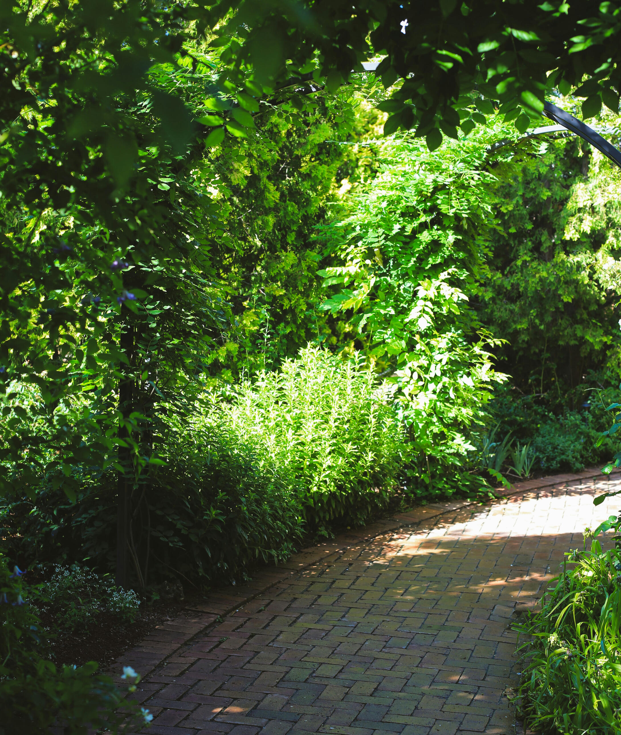Pflasterweg im Garten Pflasterweg im Garten